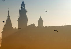 Cruising, horse-riding and cycling in the beautiful City of Krakow